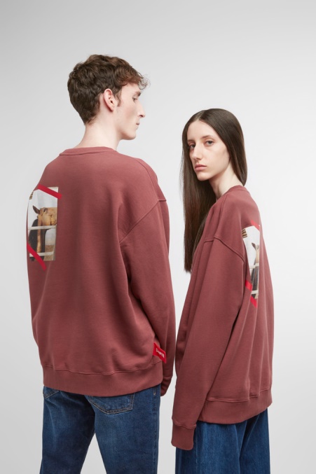 Exklusives Camper De Sweatshirt Weinrotes Sweatshirt Mit Pferdeprint